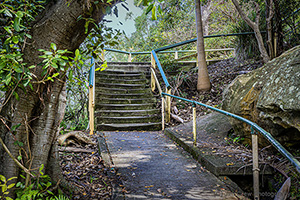 Path in the Woods